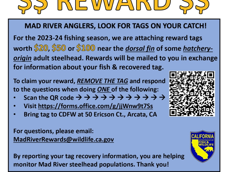 Mad River Steelhead Tag Rewards Program